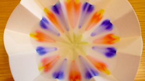 きれいな花を咲かせましょう！イメージ写真