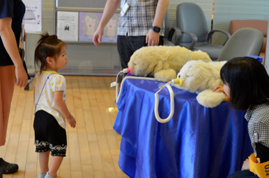 子どもがあざらしロボットパロに近づいて見ている様子