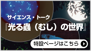 サイエンス・トーク光る蟲（むし）の世界バナー写真