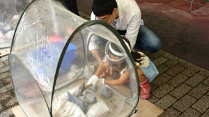移動地質標本館　石を割ってあなたも地質学者イメージ写真