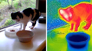 見えない光の不思議イメージ写真