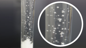 試験管の中で星を作ろう-結晶ができる様子を見てみよう-イメージ写真