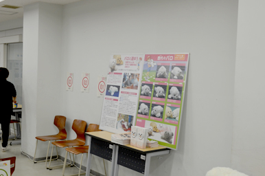 パロの特徴や活用例を紹介するパネルが並べられた展示スペース