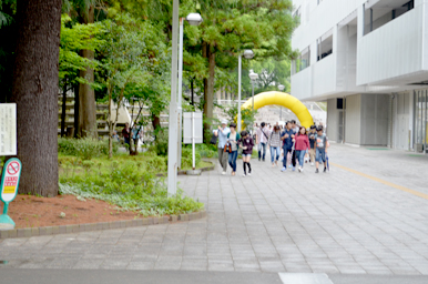 木々に囲まれたキャンパスの通路を、大勢の来場者が会場へ向かって歩いている様子